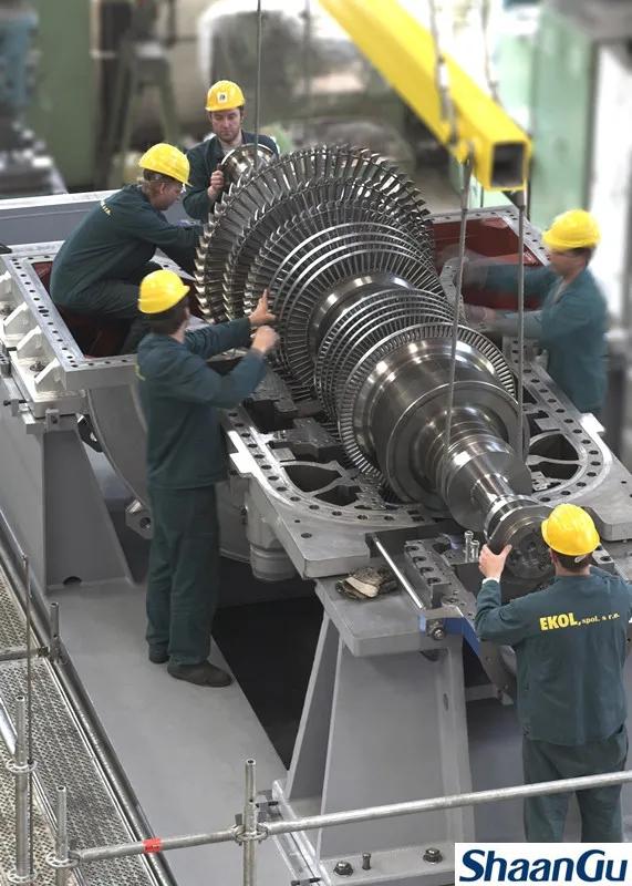 王慧：坚守在捷克的欧博allbet“花木兰”