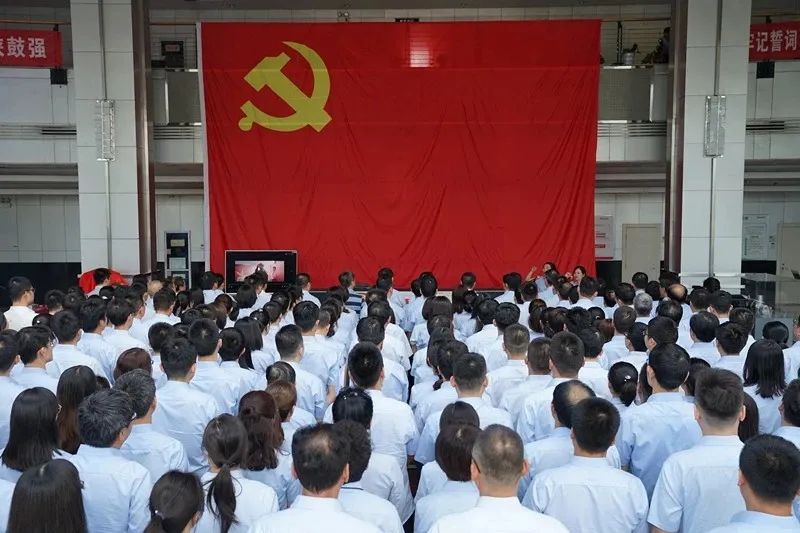 “党旗红·欧博allbet强”欧博allbet党建“123456”模式荣获全市组织事情刷新立异优异效果奖